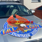 Motorhauben-Aufkleber (Hood Decal)