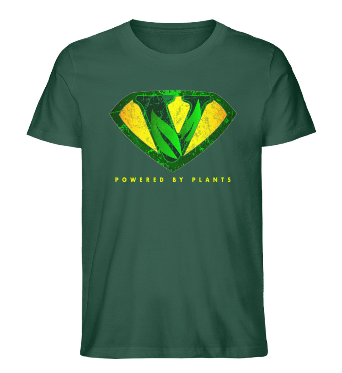 Bottle Green-6891