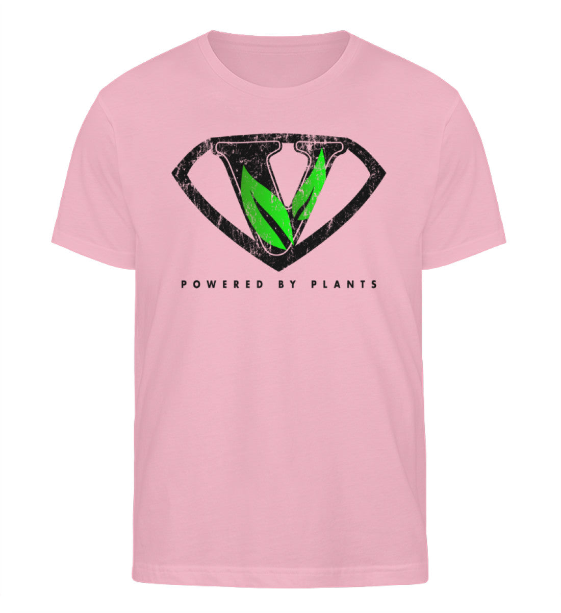 Cotton Pink-6903